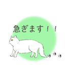 オッドアイキャット（敬語）（個別スタンプ：38）