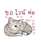 タイ語 ニャンズ（個別スタンプ：10）