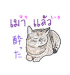 タイ語 ニャンズ（個別スタンプ：11）