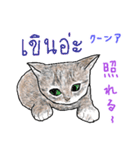 タイ語 ニャンズ（個別スタンプ：29）