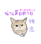 タイ語 ニャンズ（個別スタンプ：34）