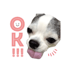 bamuco-chan_stamp（個別スタンプ：2）