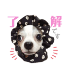 bamuco-chan_stamp（個別スタンプ：3）