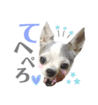 bamuco-chan_stamp（個別スタンプ：4）