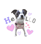bamuco-chan_stamp（個別スタンプ：5）
