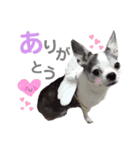 bamuco-chan_stamp（個別スタンプ：6）