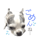 bamuco-chan_stamp（個別スタンプ：8）