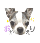 bamuco-chan_stamp（個別スタンプ：13）