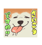 秋田犬ですので！（個別スタンプ：8）