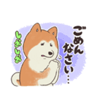 秋田犬ですので！（個別スタンプ：12）