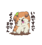 秋田犬ですので！（個別スタンプ：16）