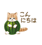 夏（敬語）☆猫たちのスタンプ（個別スタンプ：7）