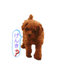 愛月と空とマロンパート3（個別スタンプ：4）