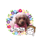 愛月と空とマロンパート3（個別スタンプ：5）