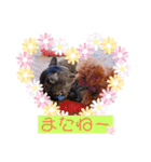 愛月と空とマロンパート3（個別スタンプ：7）