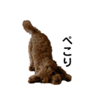 愛月と空とマロンパート3（個別スタンプ：12）