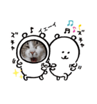 ニャンこスタンプ1（個別スタンプ：17）