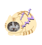 ニャンこスタンプ1（個別スタンプ：20）
