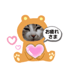 ニャンこスタンプ1（個別スタンプ：22）