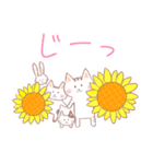 ネコじ(夏)（個別スタンプ：12）