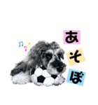 シュナウザー(ジルバ2)（個別スタンプ：2）
