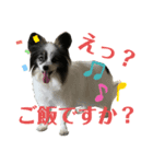 ジイさんの日常（個別スタンプ：2）