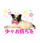 ジイさんの日常（個別スタンプ：4）