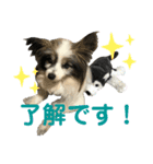 ジイさんの日常（個別スタンプ：6）