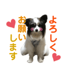 ジイさんの日常（個別スタンプ：7）