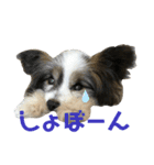 ジイさんの日常（個別スタンプ：8）