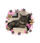 まさおの仲間のりょうちゃんです（個別スタンプ：6）