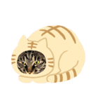 まさおの仲間のりょうちゃんです（個別スタンプ：8）