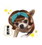 愛しのジジちゃん（個別スタンプ：7）