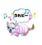愛しのジジちゃん（個別スタンプ：13）