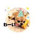 愛しのジジちゃん（個別スタンプ：18）