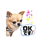 愛しのジジちゃん（個別スタンプ：19）