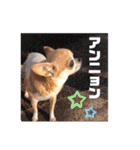 愛しのジジちゃん（個別スタンプ：23）