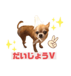 愛しのジジちゃん（個別スタンプ：26）