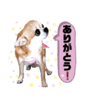 愛しのジジちゃん（個別スタンプ：28）
