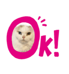 お猫様nyan’s（個別スタンプ：5）