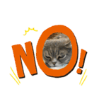 お猫様nyan’s（個別スタンプ：6）