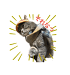 お猫様nyan’s（個別スタンプ：8）