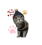 お猫様nyan’s（個別スタンプ：10）