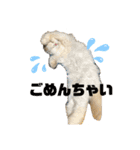 お猫様nyan’s（個別スタンプ：14）