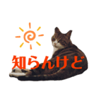 ごえもん日和 6（個別スタンプ：5）