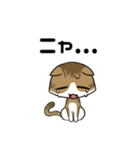 ネコ語になるスタンプだニャ！！（個別スタンプ：3）