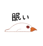 自由気ままなブンチョッチョ（個別スタンプ：1）