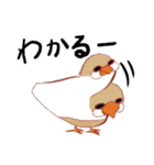 自由気ままなブンチョッチョ（個別スタンプ：11）