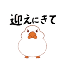 自由気ままなブンチョッチョ（個別スタンプ：12）