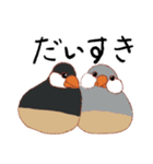 自由気ままなブンチョッチョ（個別スタンプ：17）